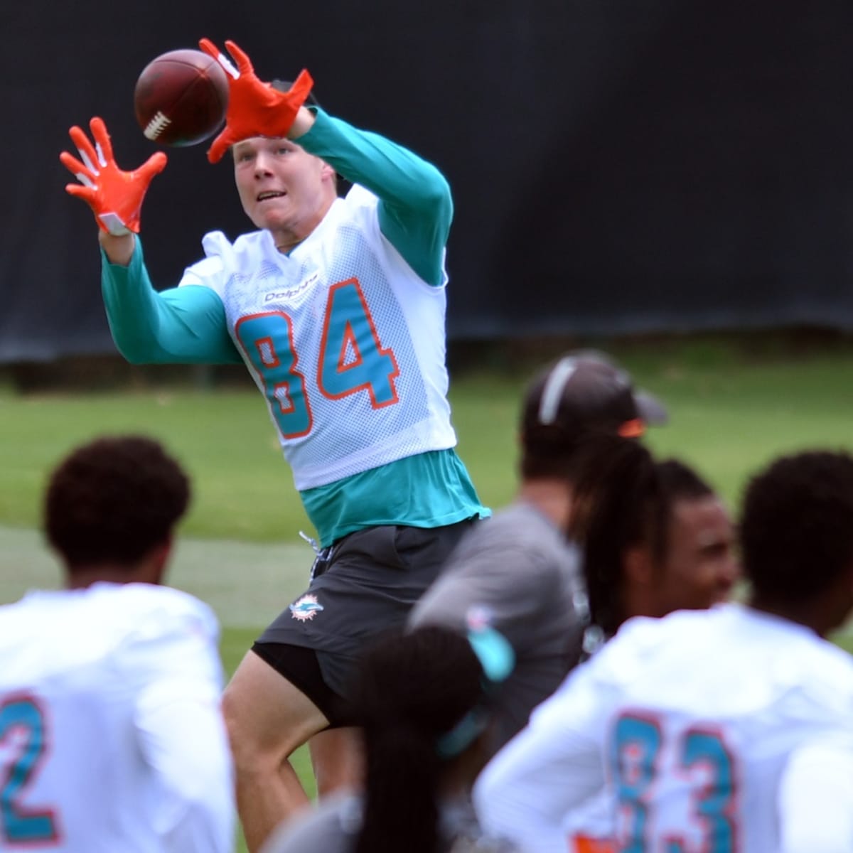Report: Miami Dolphins announce inactives for Week 17 contest vs. Tennessee  Titans - Dolphin Nation