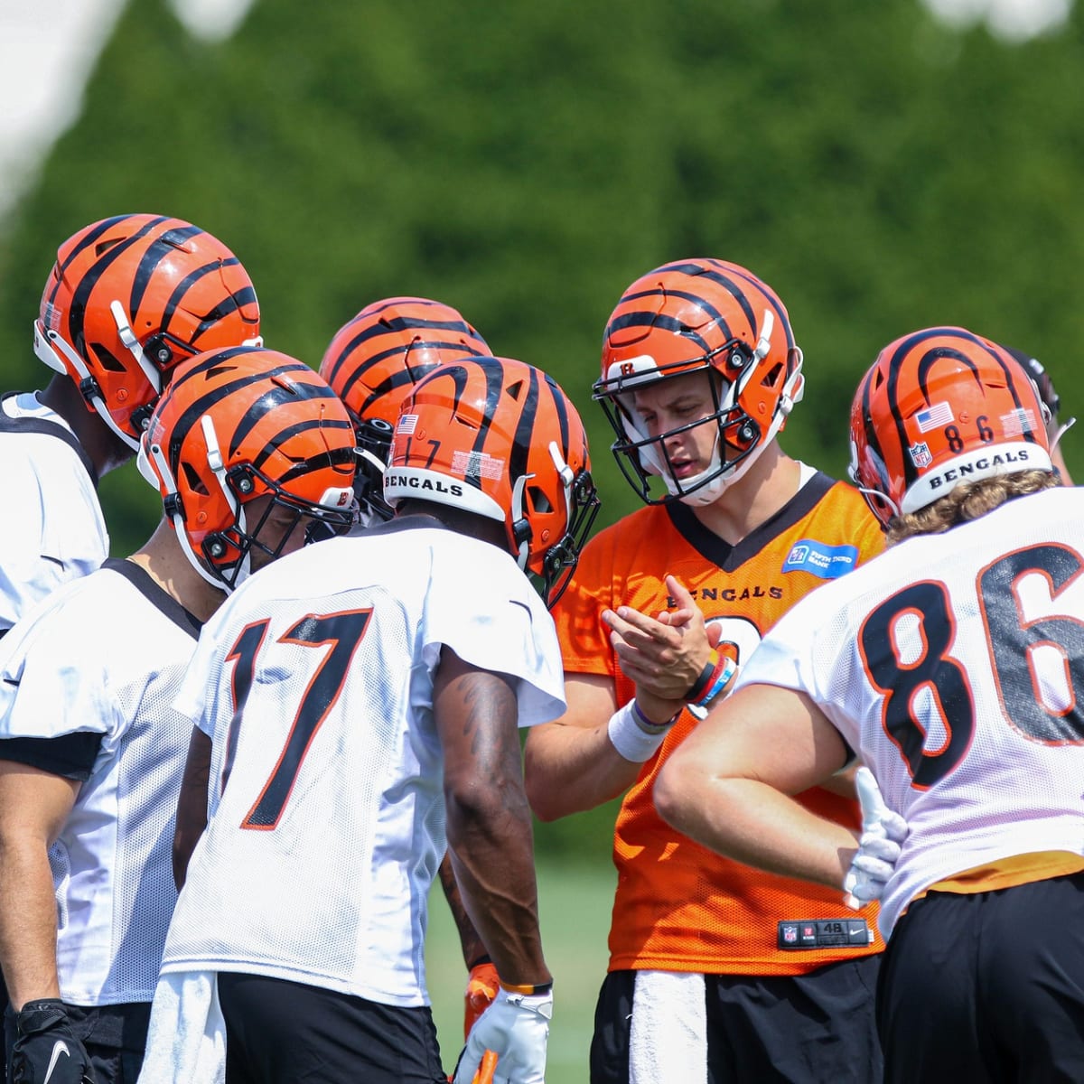 Joe Burrow gets standing O as he makes triumphant return to PBS: Bengals  news - Cincy Jungle