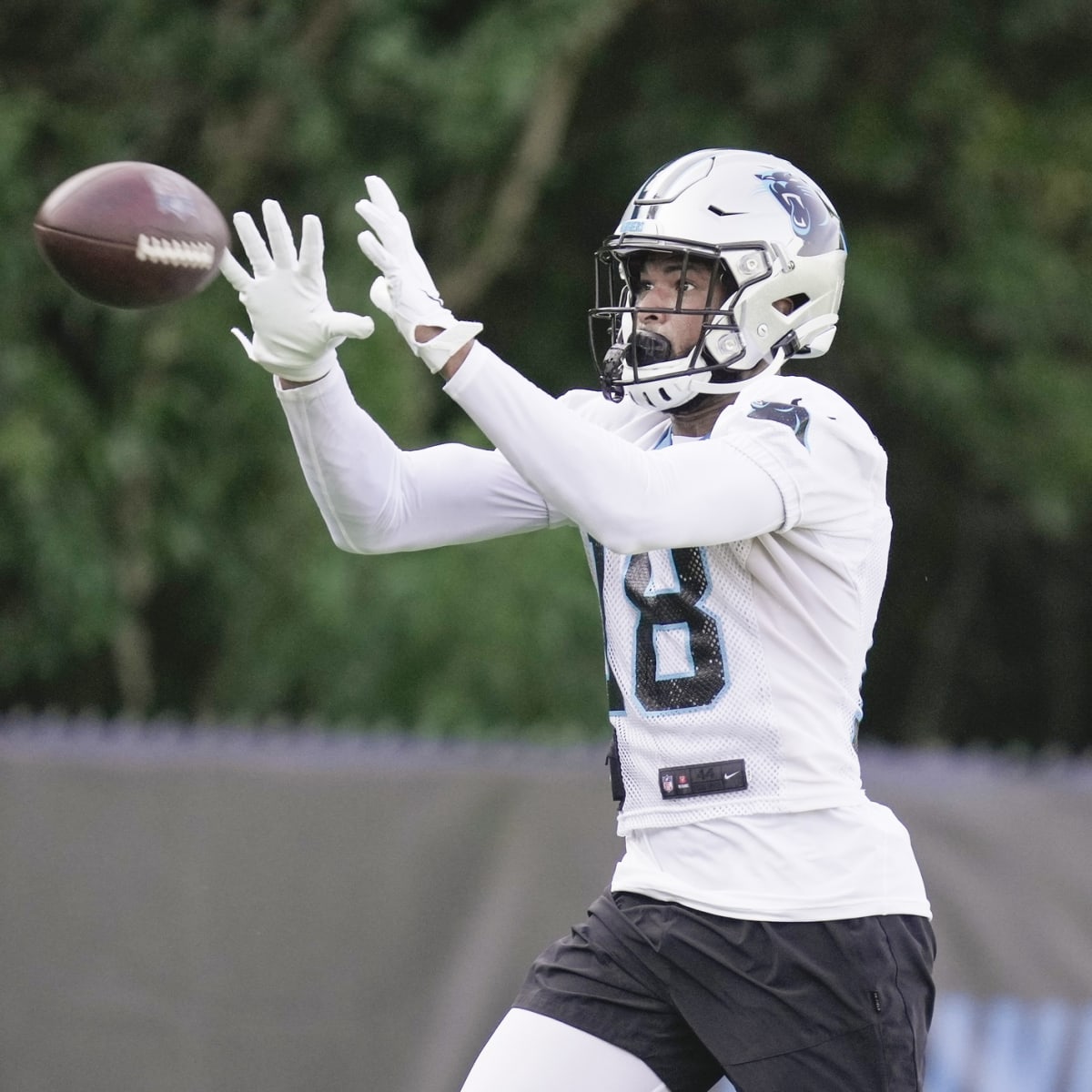 53 Men: WR Brandon Zylstra Player Profile - Sports Illustrated Carolina  Panthers News, Analysis and More