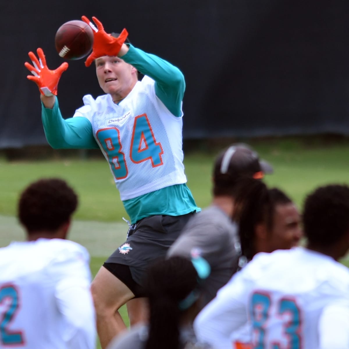 Miami Dolphins tight end Hunter Long (84) catches the ball as he practices  on the field before an NFL football game against the Philadelphia Eagles,  Saturday, Aug. 27, 2022, in Miami Gardens