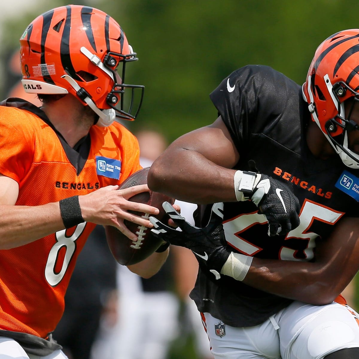 Bengals running back Samaje Perine nominated for FedEx Ground NFL Player of  the Week