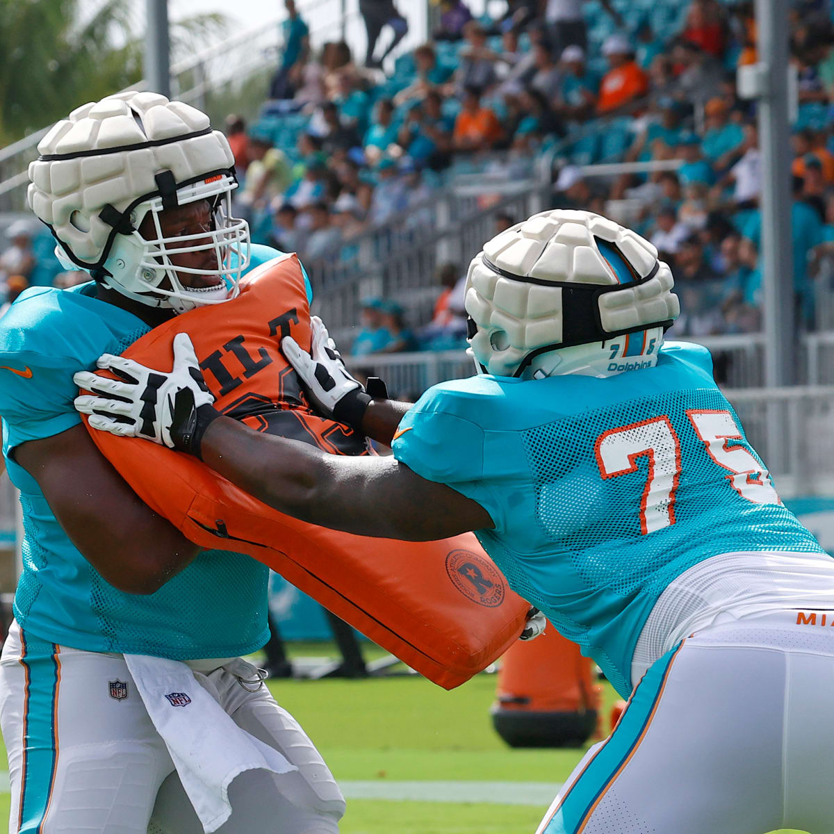 Miami Dolphins Tackle Greg Little Looking at Big Opportunity