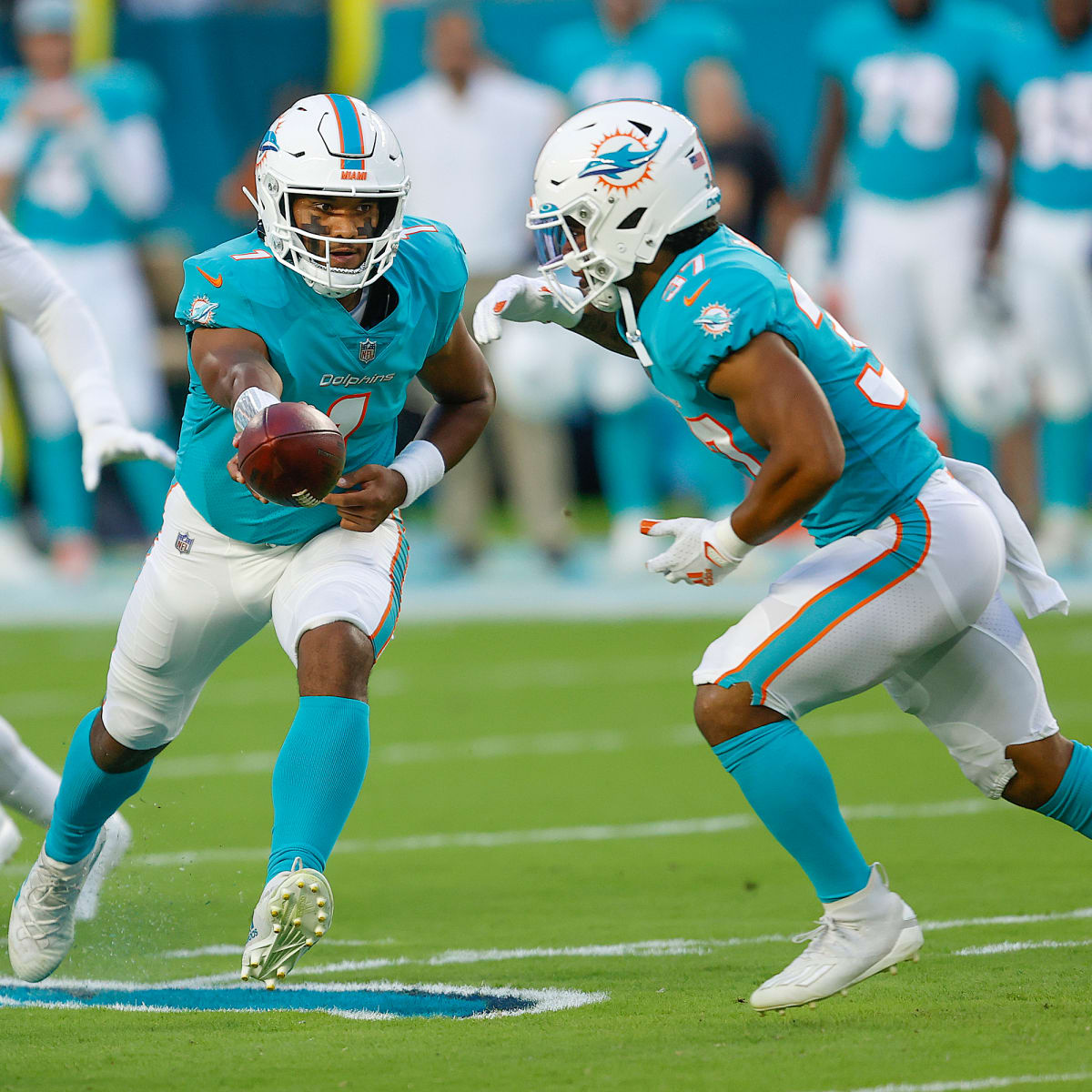 Miami Dolphins roster features these 53 players