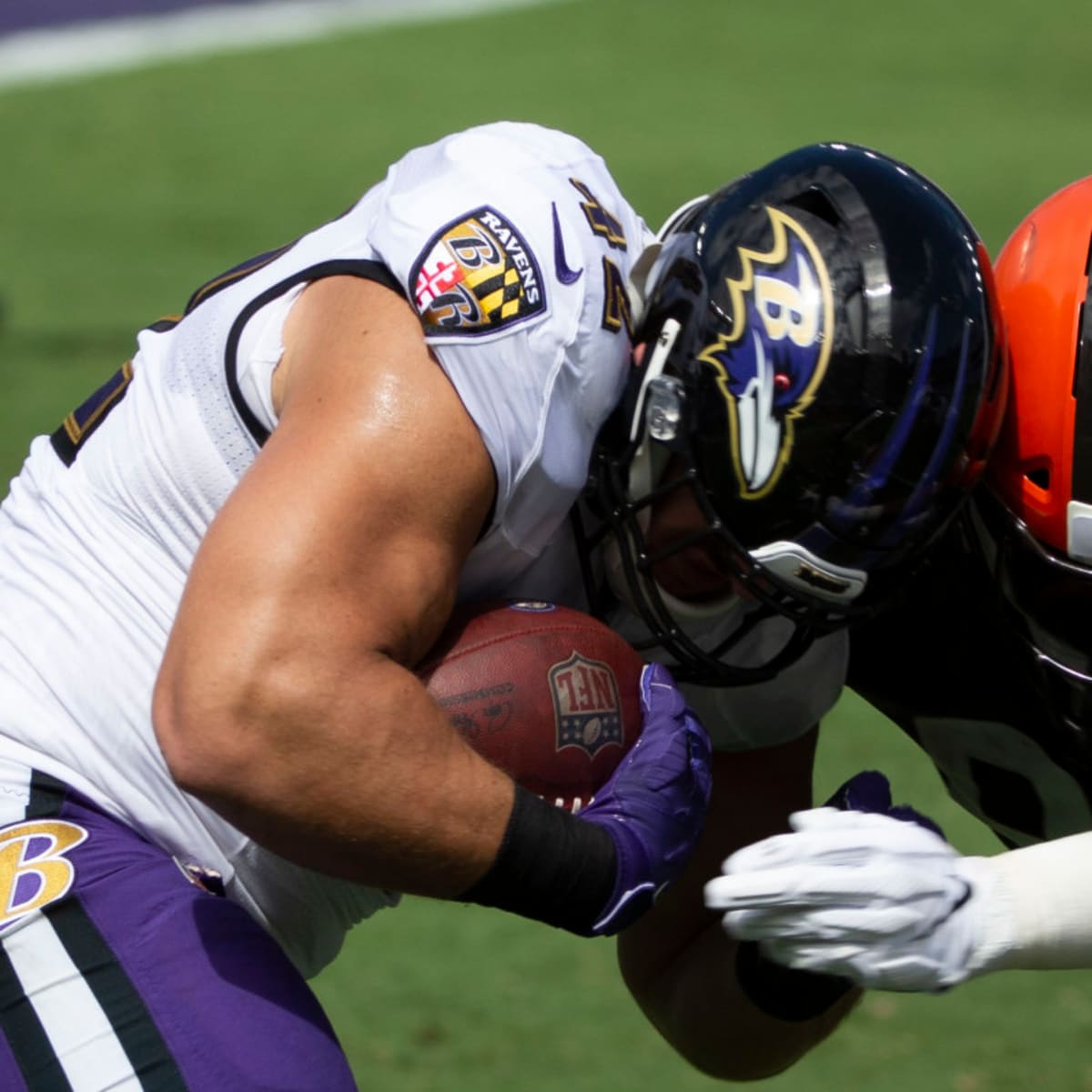 Baltimore Ravens fullback Patrick Ricard (42) takes to the field before an  NFL football game between the Miami Dolphins and the Baltimore Ravens,  Sunday, Sept. 18, 2022, in Baltimore. (AP Photo/Nick Wass