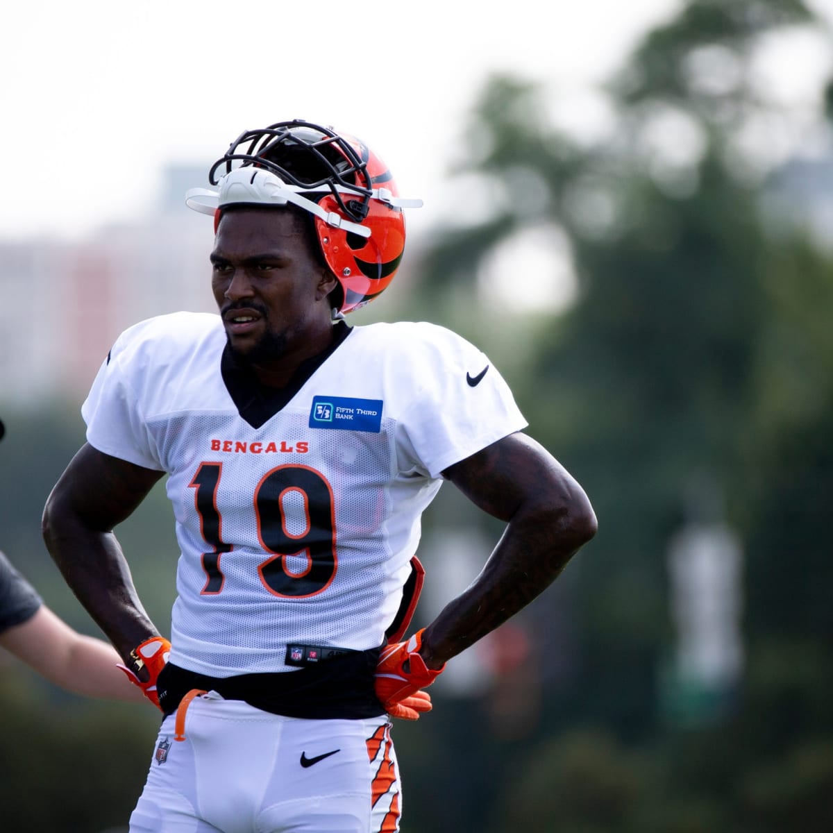Bengals news: Tee Higgins injury, Ja'Marr Chase quote, Zac Taylor heat