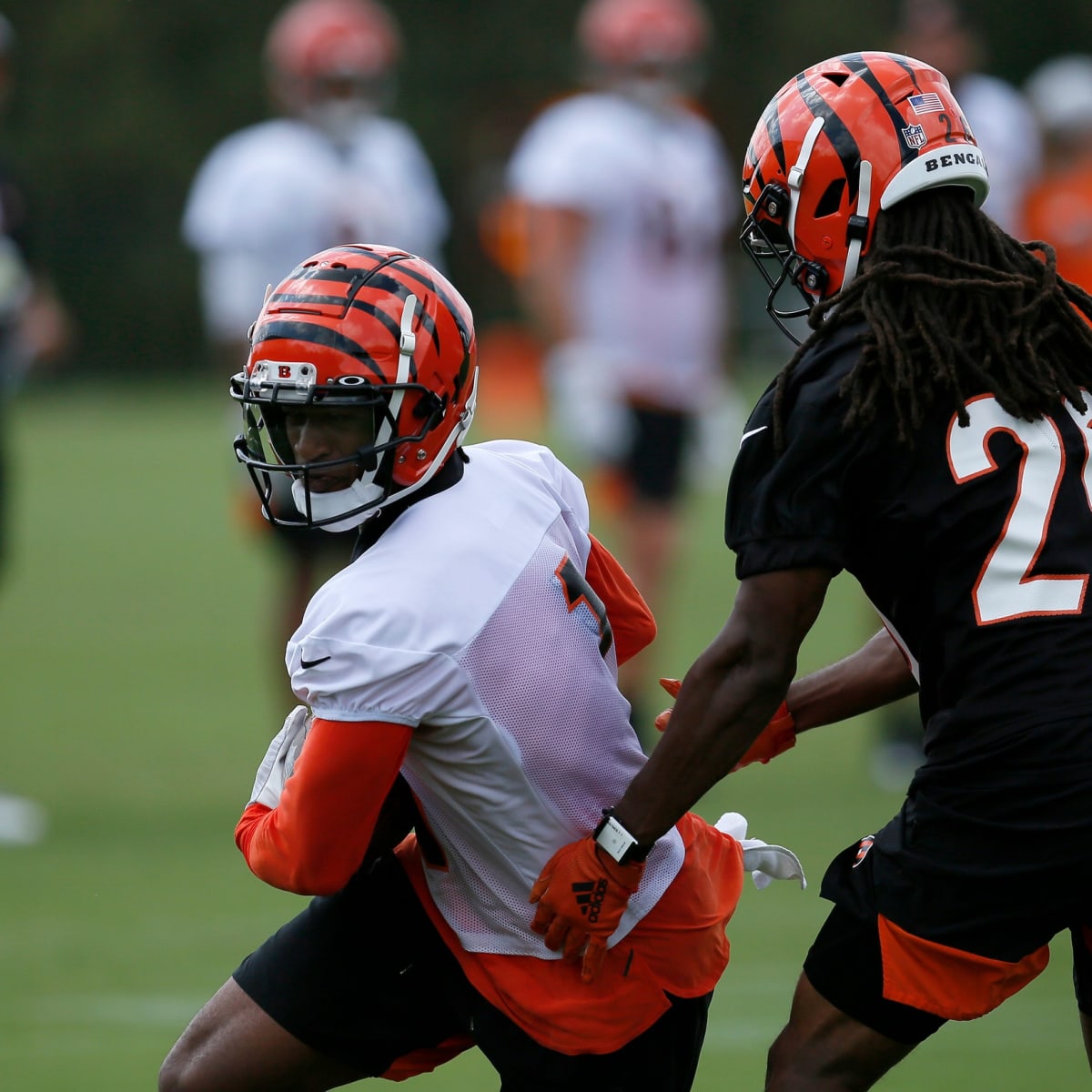 Breaking Down Cincinnati Bengals WR Ja'Marr Chase's Injury, Recovery and  Probability of Return Against Chiefs - Sports Illustrated Cincinnati  Bengals News, Analysis and More