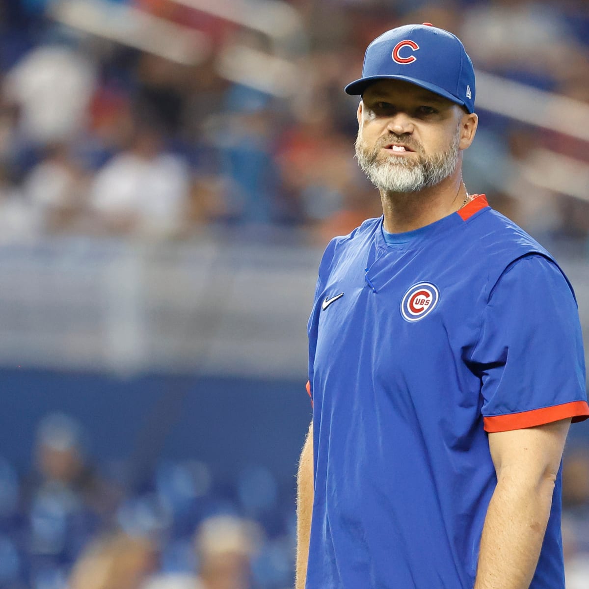 Cubs manager David Ross, Jed Hoyer test positive for COVID-19 - Sports  Illustrated