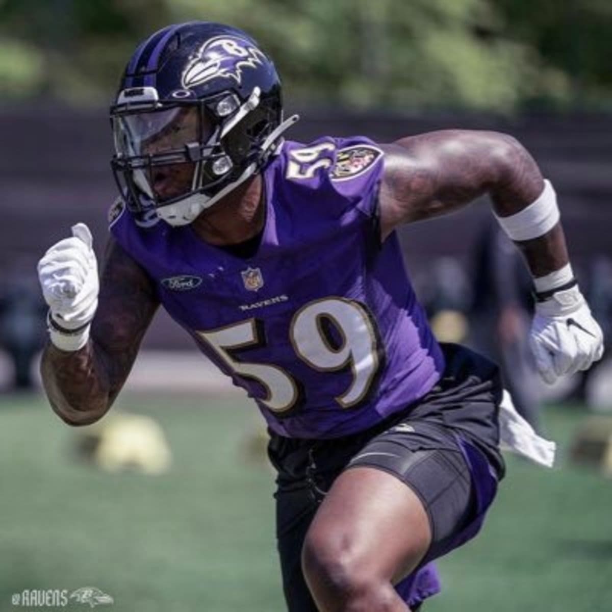 Baltimore Ravens linebacker Daelin Hayes (59) in action during the