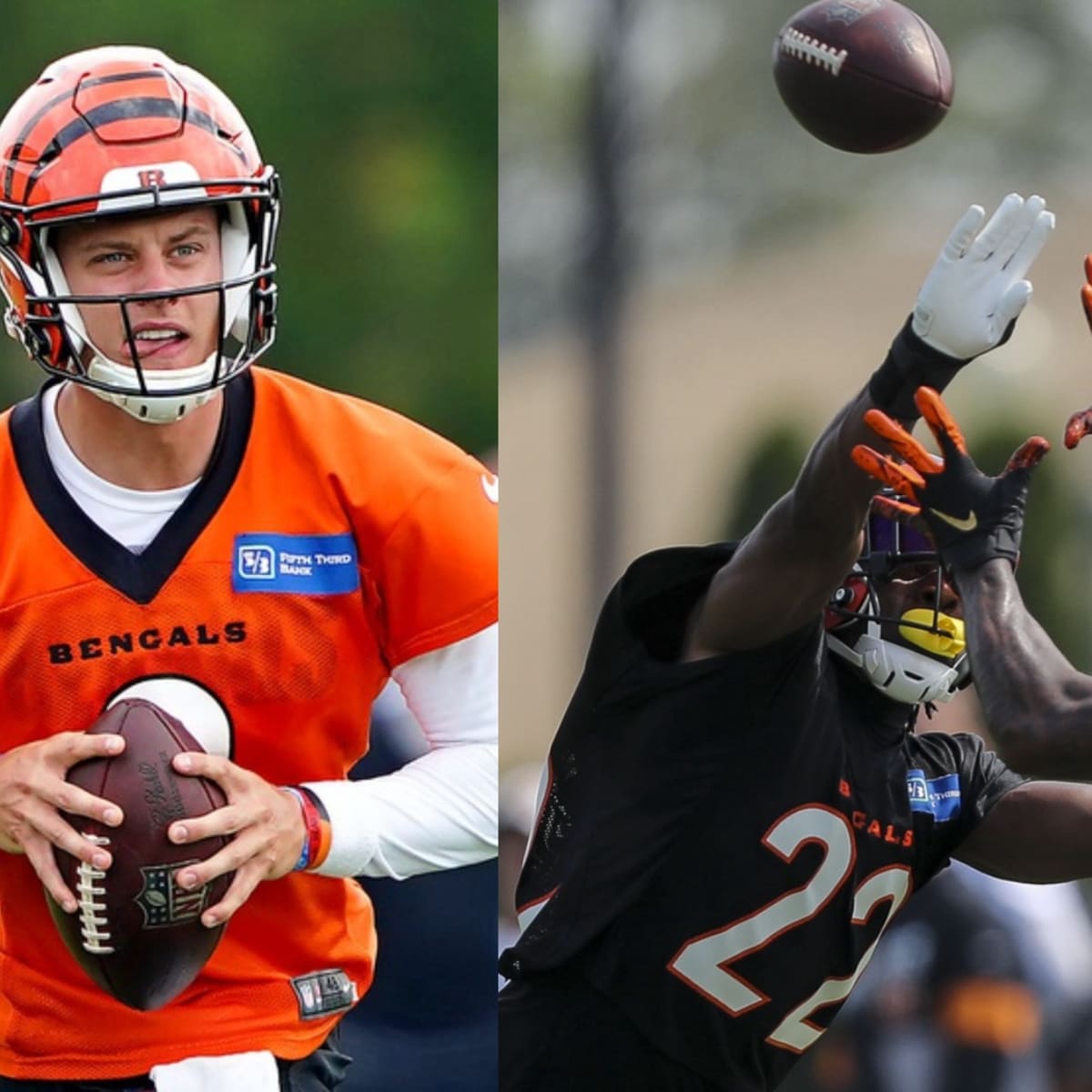 Bengals sign St. Louis' XFL QB AJ McCarron amid Joe Burrow injury