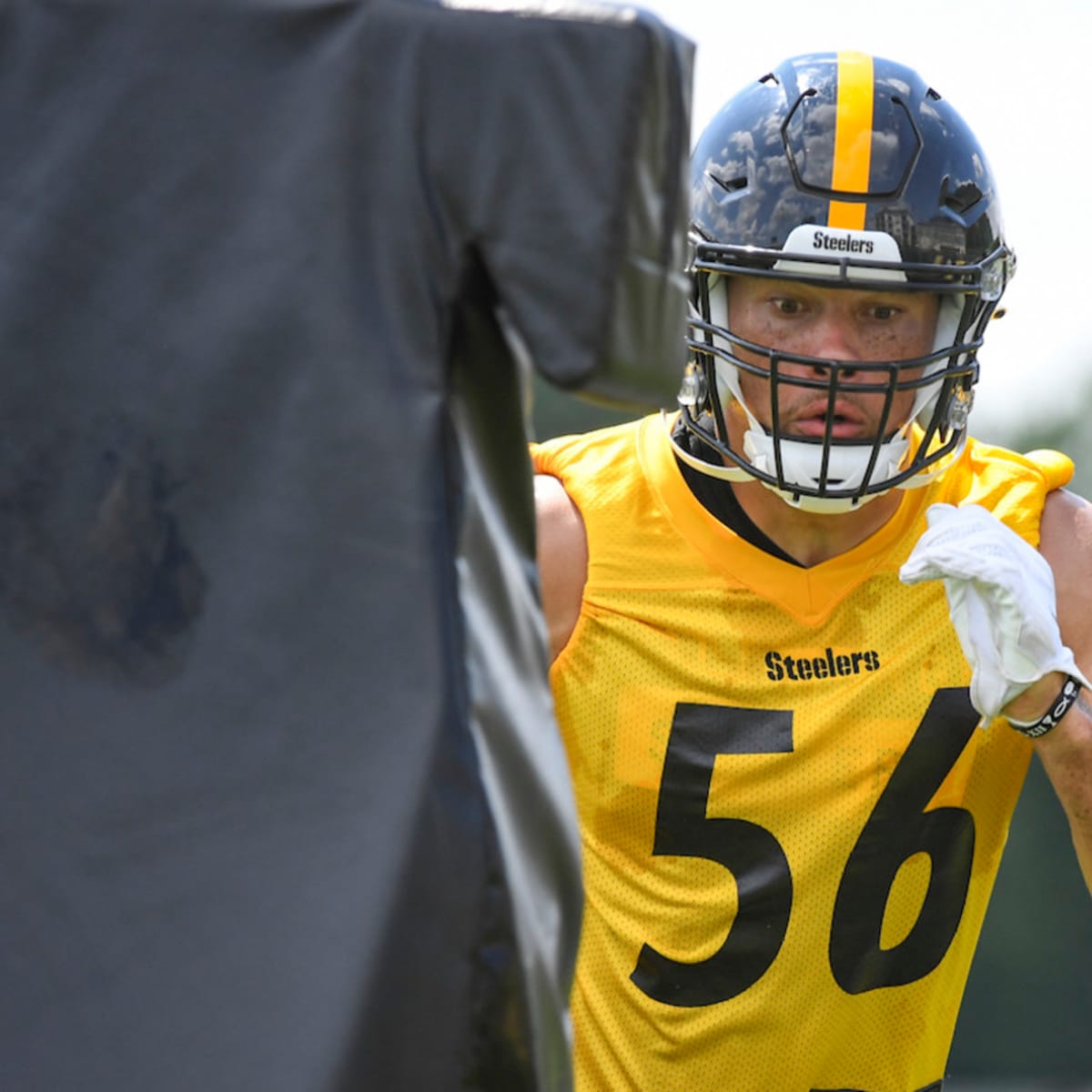 Pittsburgh Steelers Get Bad News on Cam Heyward Injury - Sports Illustrated Pittsburgh  Steelers News, Analysis and More