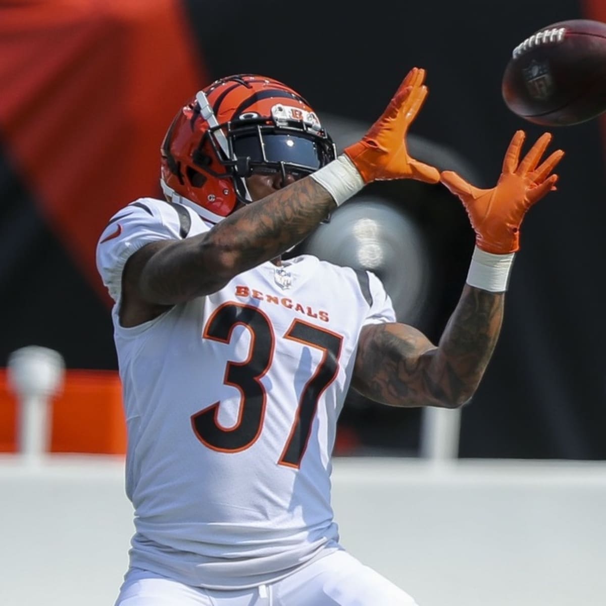 Cincinnati Bengals Activate DJ Reader, Make Punter Decision Ahead of  Matchup With Steelers - Sports Illustrated Cincinnati Bengals News,  Analysis and More