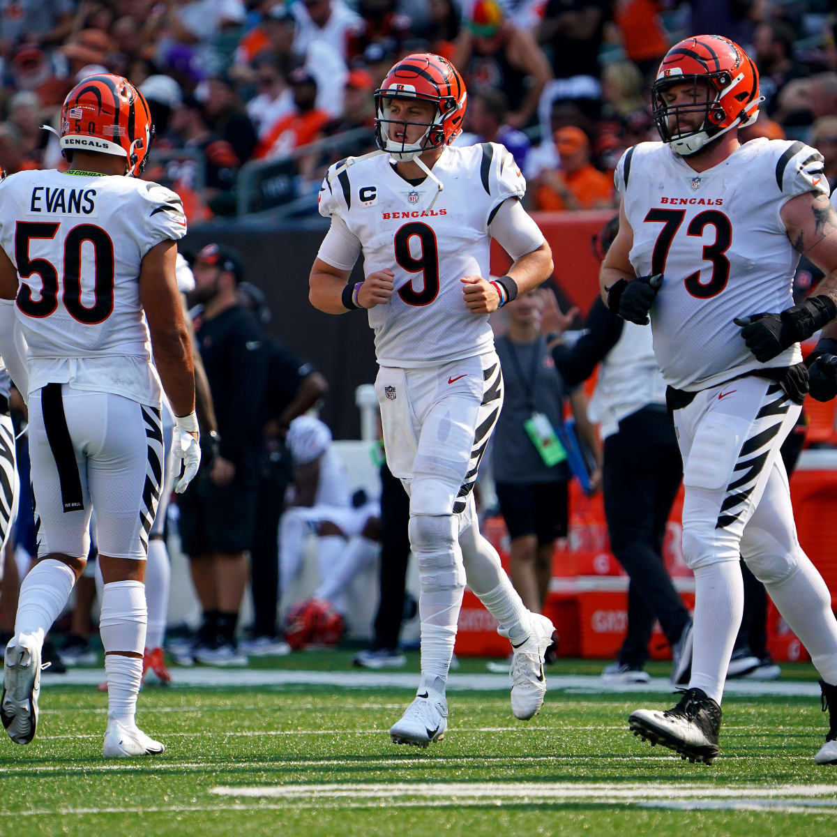 What TV channel is Bengals-Bears on today? Live stream, time, how to watch  online 