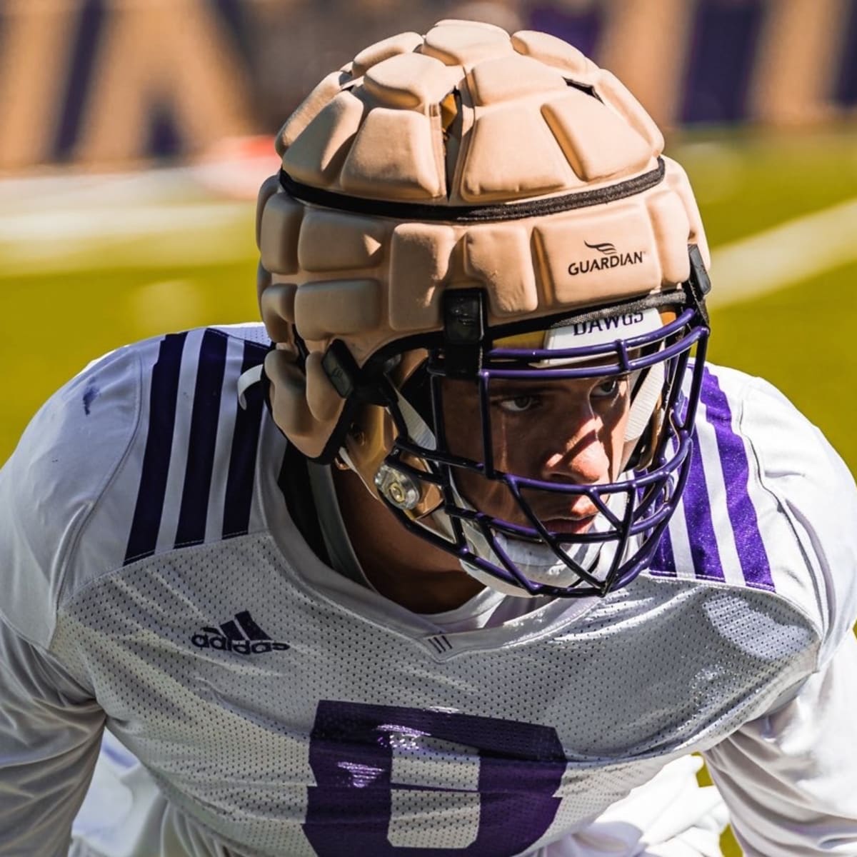 Shaq Thompson Was Once Huskies' Top Player — Now He's UW's Best NFL  Centerpiece - Sports Illustrated Washington Huskies News, Analysis and More