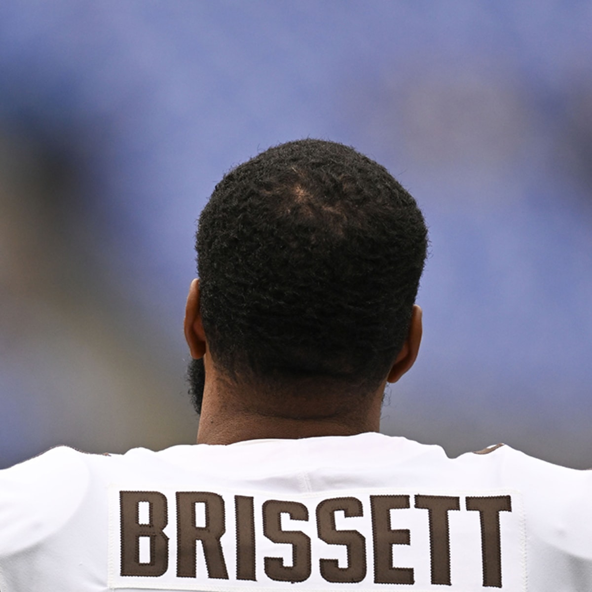 How should Jacoby Brissett's past starting experience be viewed by