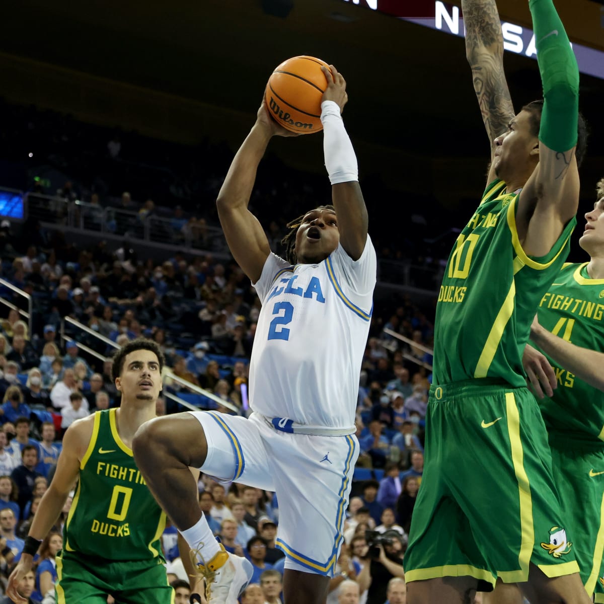 Dylan Andrews - Men's Basketball - UCLA