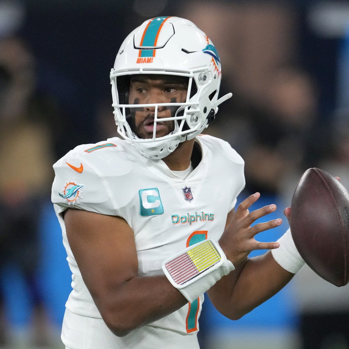 Miami Dolphins Update Playoff Picture Through Week 15 - Sports Illustrated  Miami Dolphins News, Analysis and More