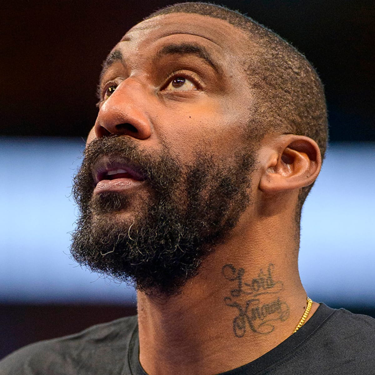 Amar'e Stoudemire 2023: Wife, net worth, tattoos, smoking & body facts -  Taddlr