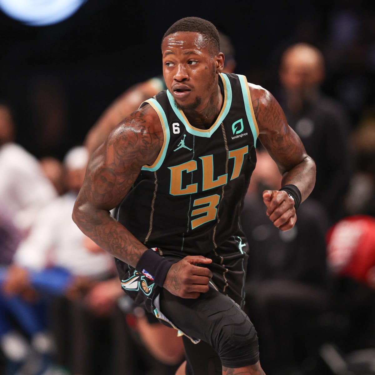 Pregame Update on Terry Rozier's Status vs Kings - Sports Illustrated  Charlotte Hornets News, Analysis and More