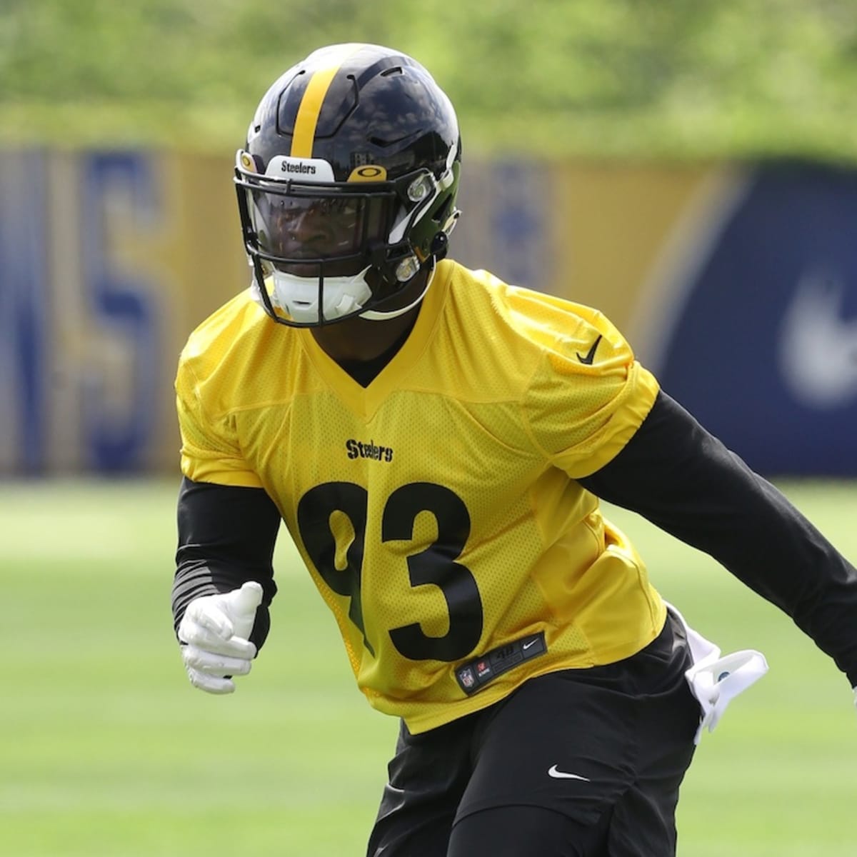 Steelers notebook: Rookies DeMarvin Leal, Mark Robinson make mark on  defense in win