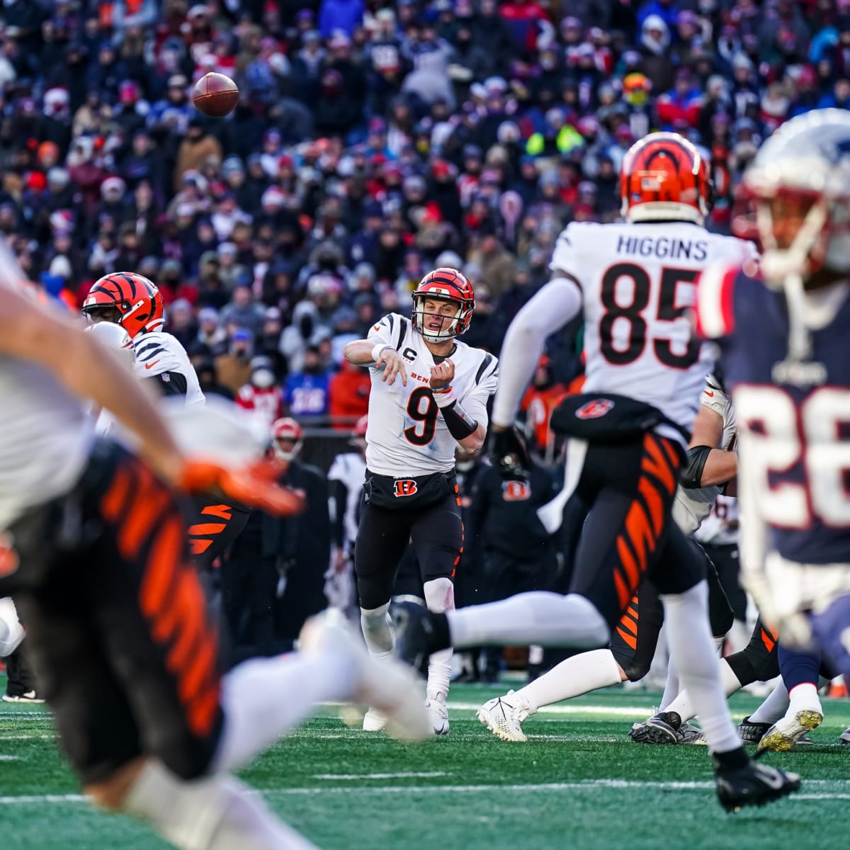 Winners and losers from Bengals Week 16 win vs Patriots