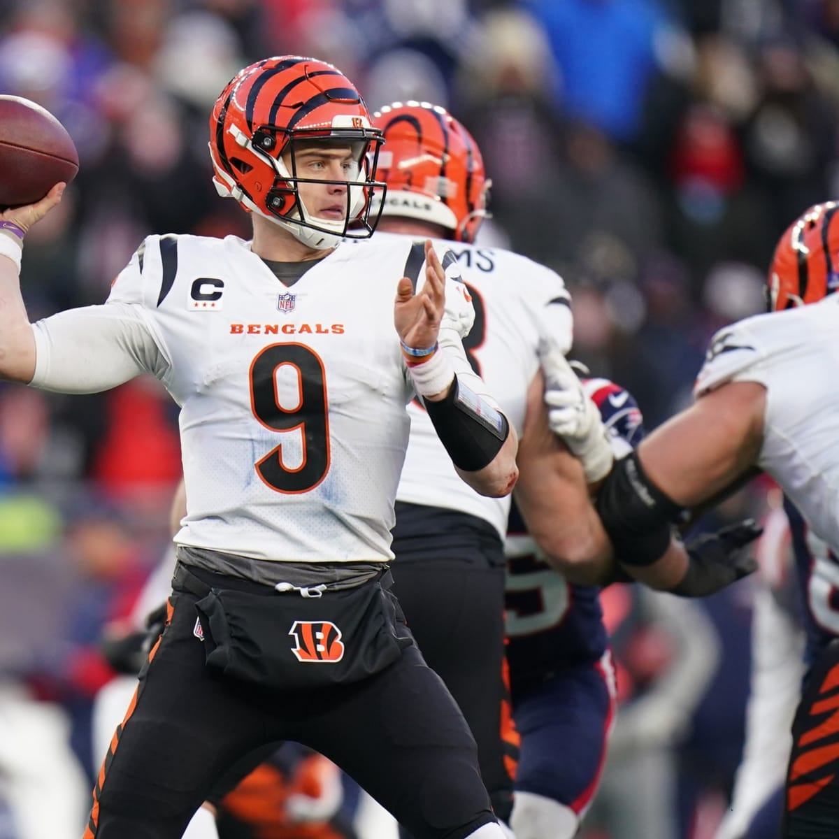 Cincinnati Bengals' Plane Makes Emergency Landing After Losing an Engine