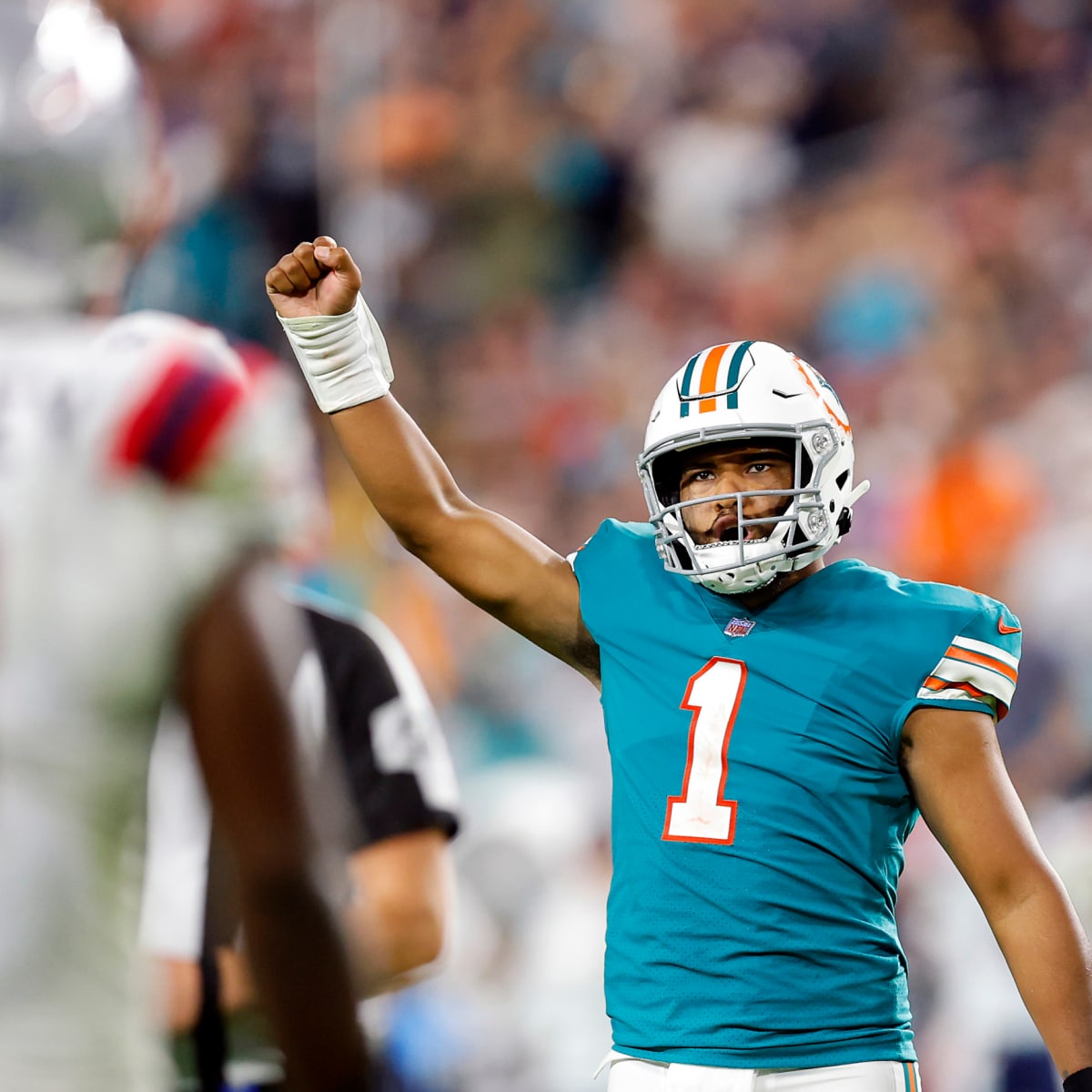 Miami Dolphins Sell Out Season Tickets - Sports Illustrated Miami Dolphins  News, Analysis and More