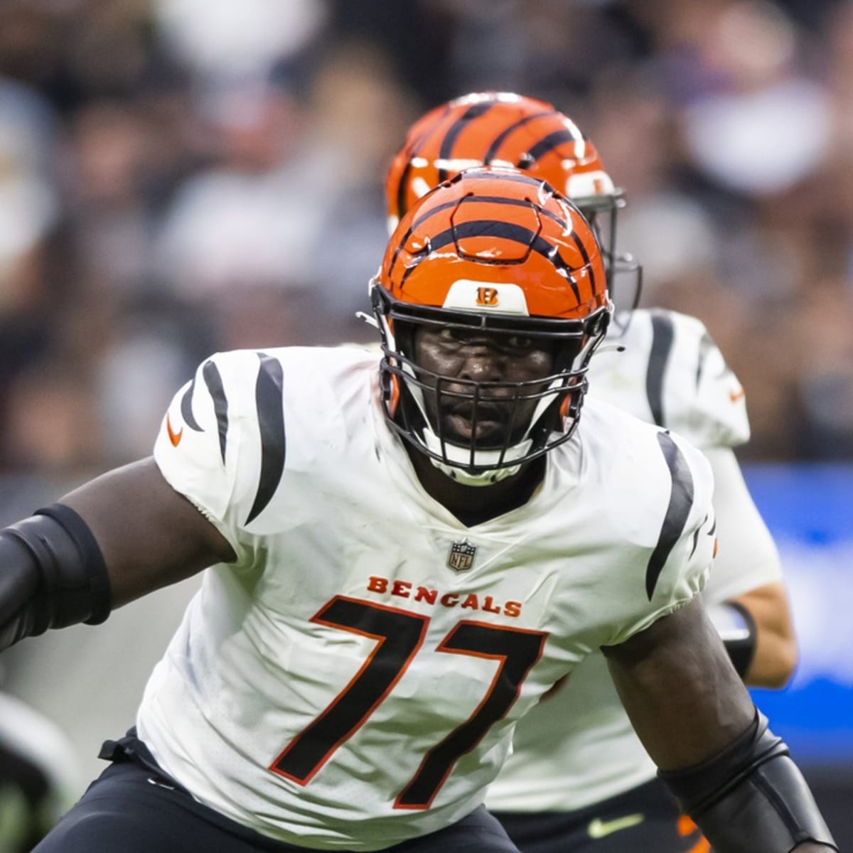 Look: Cincinnati Bengals Reveal Festive Uniform Combo Ahead Of Patriots  Game - Sports Illustrated Cincinnati Bengals News, Analysis and More