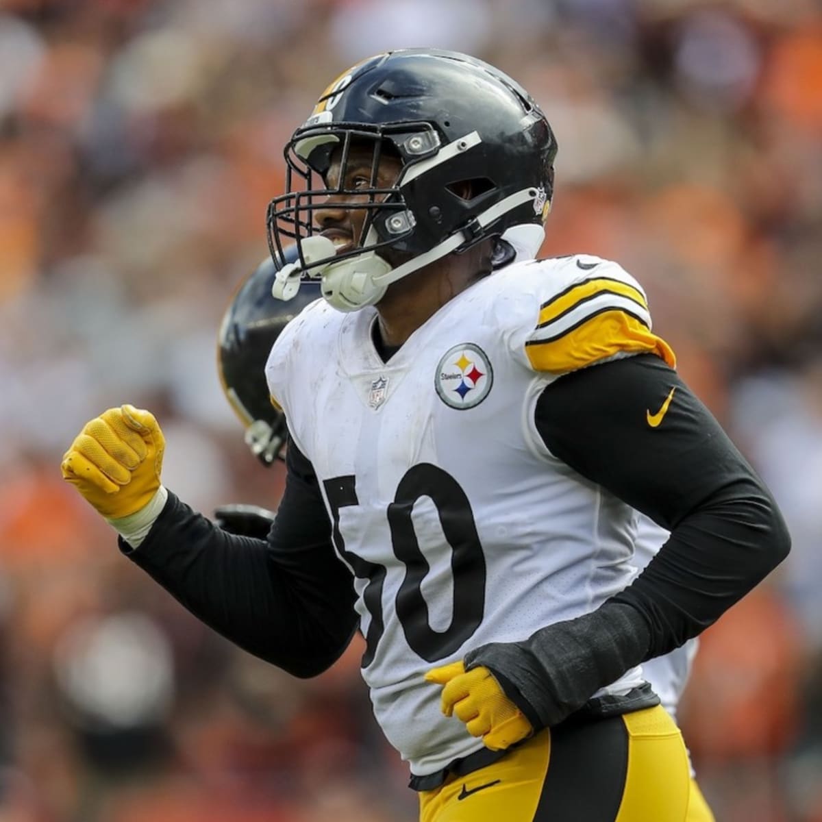 OLB Malik Reed inactive for the Steelers Week 17 vs. Ravens - Behind the  Steel Curtain