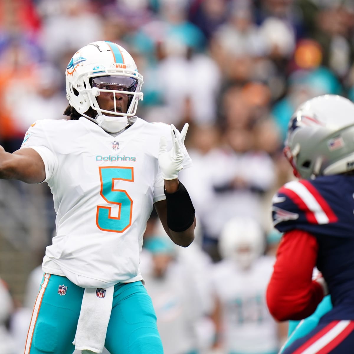 Miami Dolphins-New England Patriots Week 17 Halftime Observations