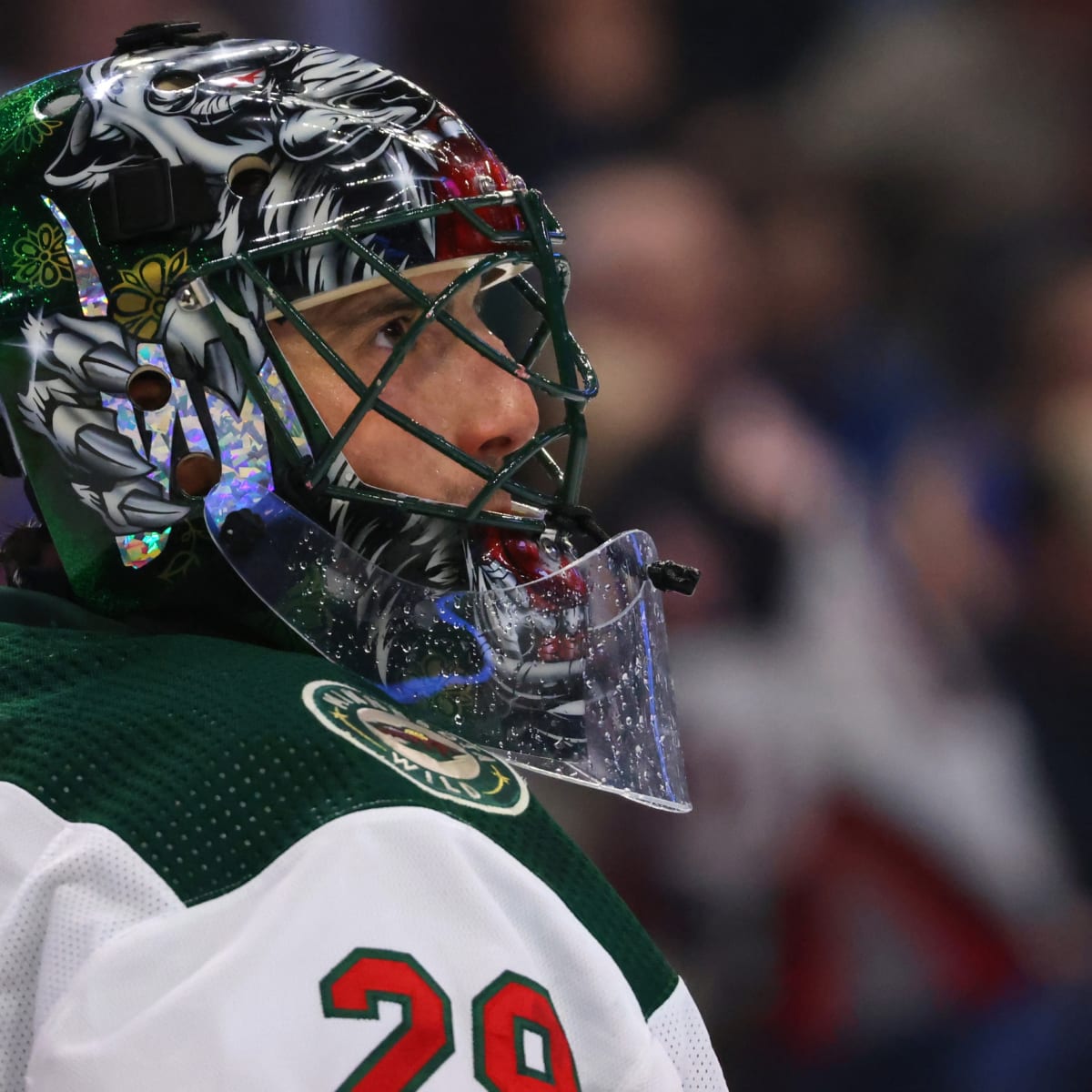 Will Fleury Get In A Goalie Fight Before Retiring? - Minnesota Wild - Hockey  Wilderness