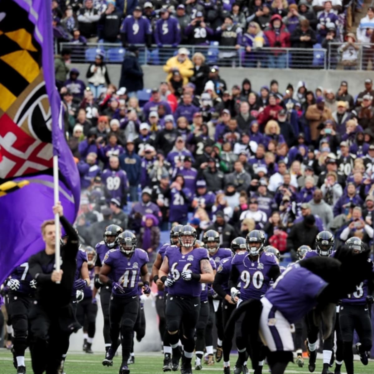 Ravens vs Bengals Playoff #PurpleTailgate