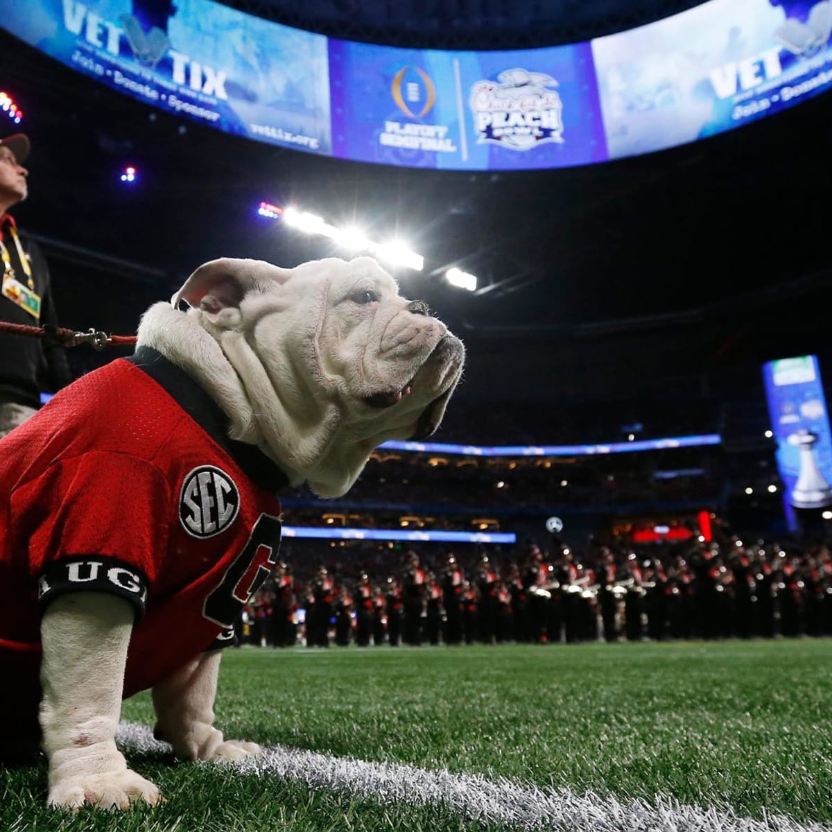 PETA calls out Georgia for 'outdated' use of live bulldog mascot