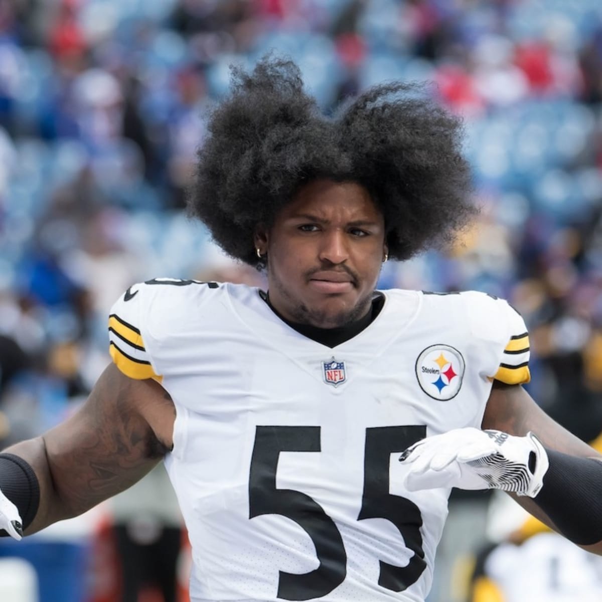 Gallery of the best pics of Steelers rookie LB Devin Bush