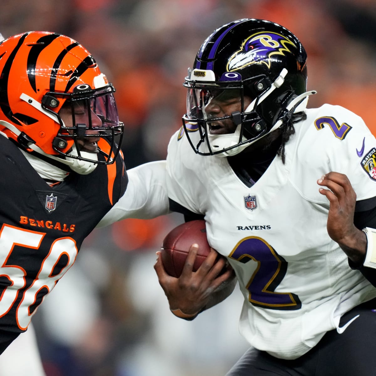 Ravens Excited to Visit Bengals on Wild-Card Weekend