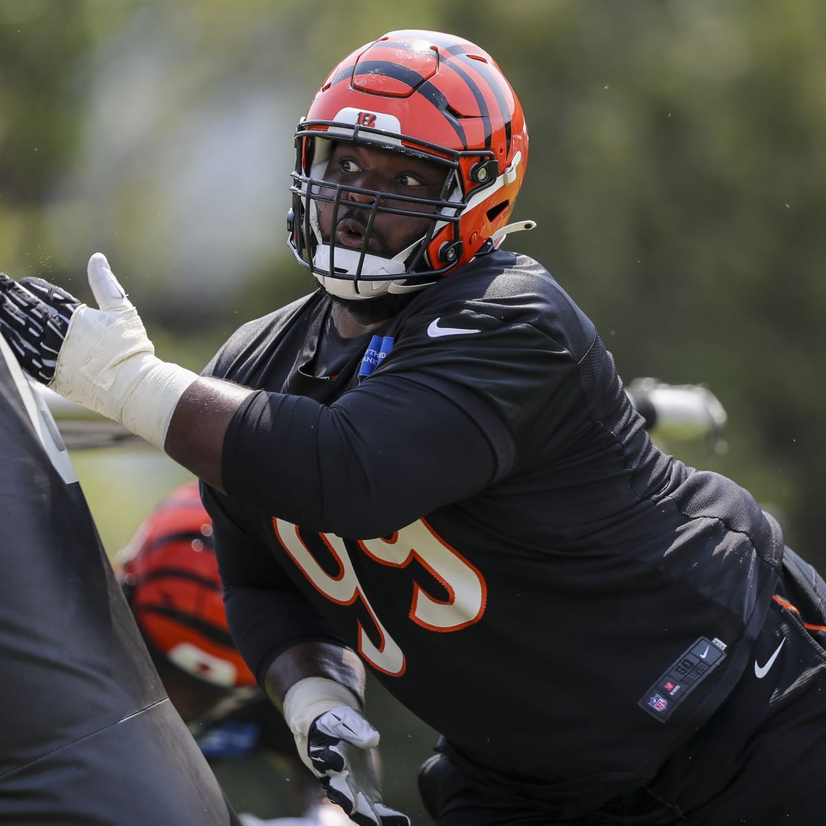 Bengals Select Defensive Tackle Tyler Shelvin With Their Second