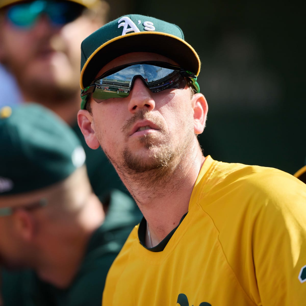 Pleasanton's Stephen Piscotty stays grounded while rising high in the  majors, News
