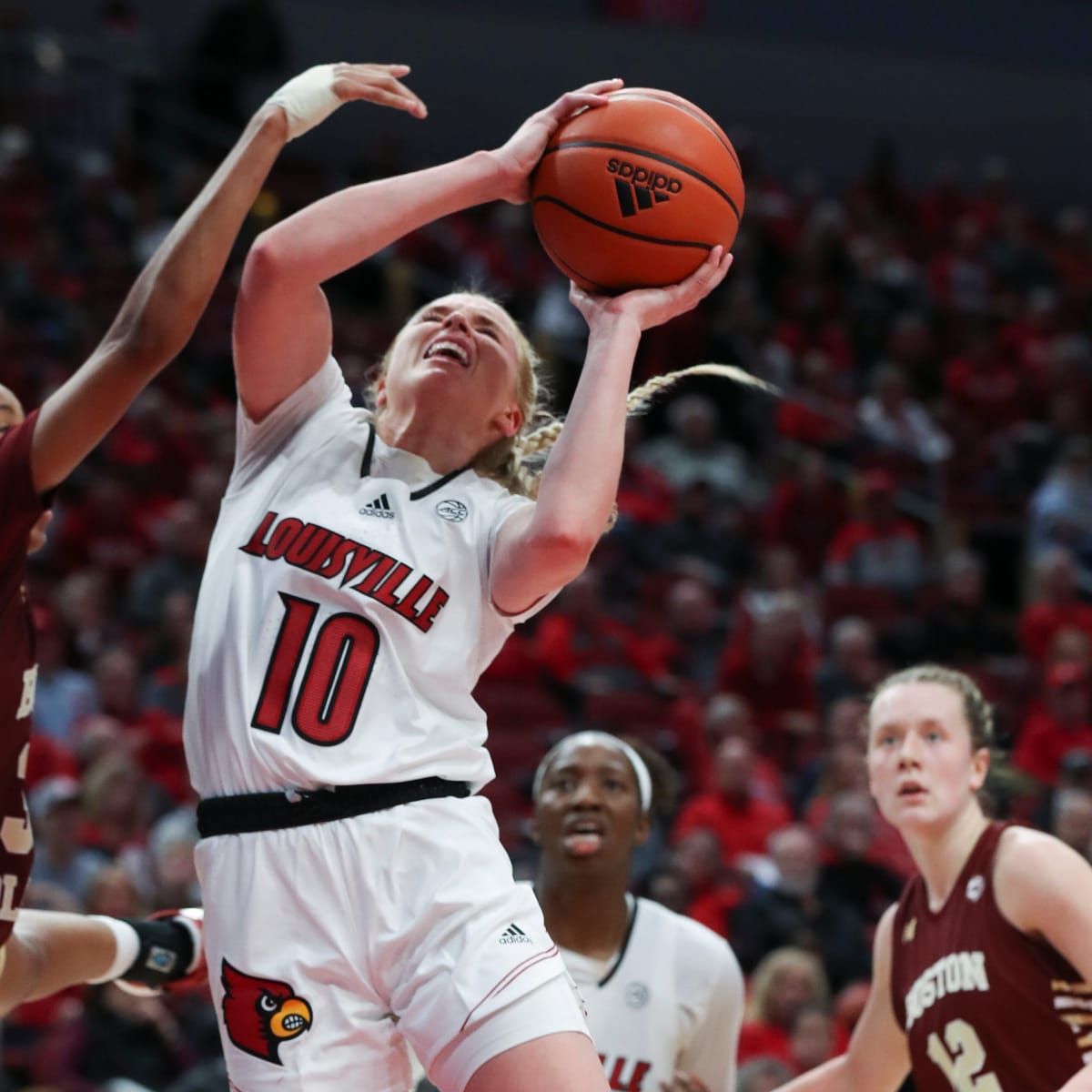  Littlearth womens NCAA Louisville Cardinals Pebble