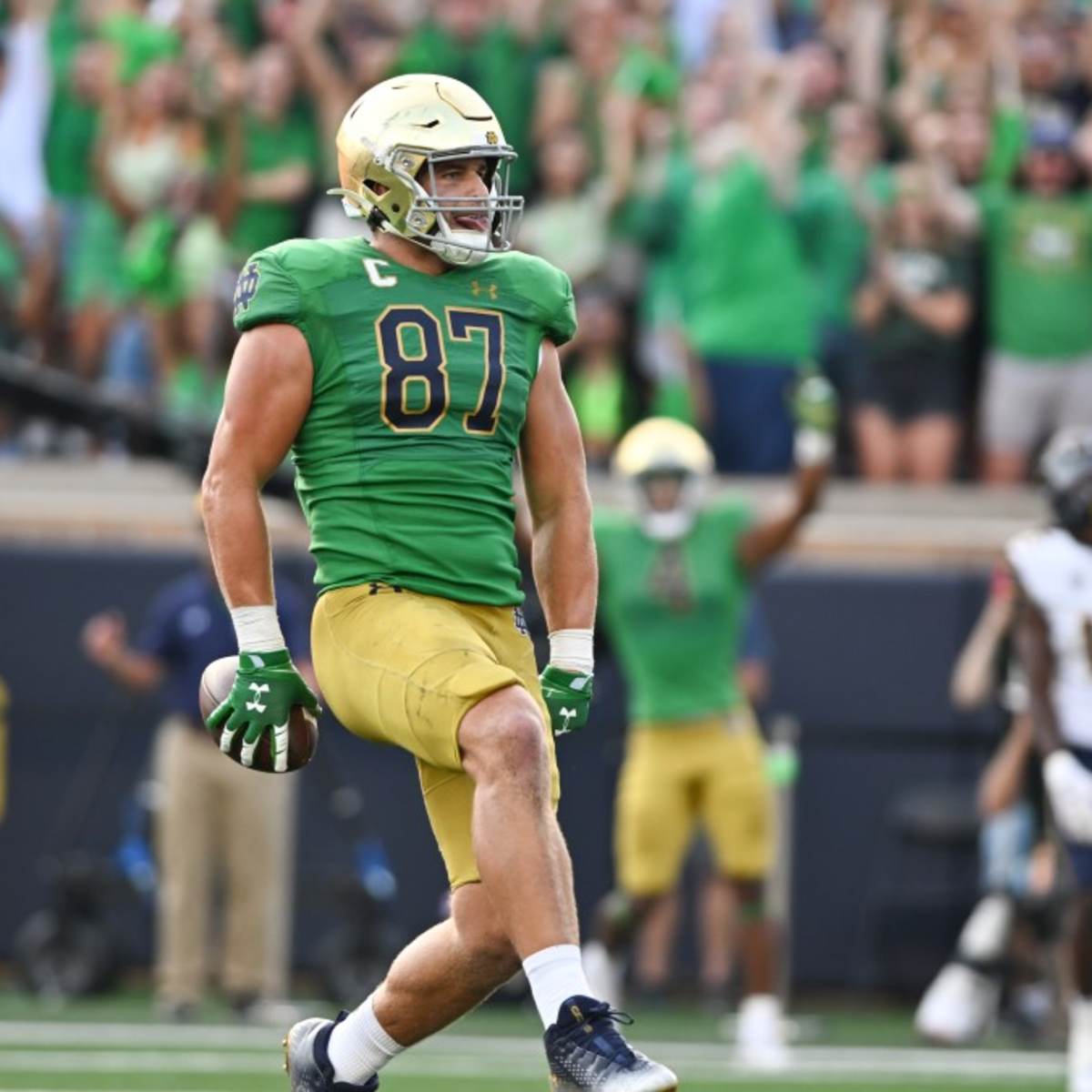 Packers, Cowboys Eyeing TE Michael Mayer?