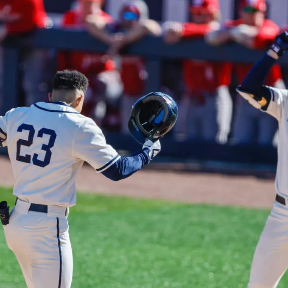 Georgia baseball is 'lights-out' against Wofford