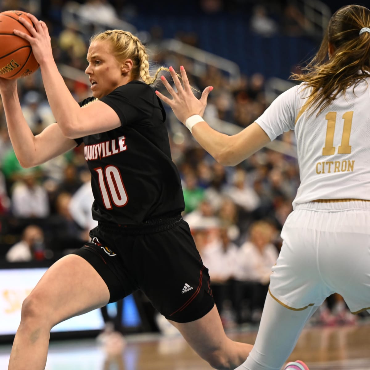 University of Louisville Cardinals Women's Basketball Van Lith