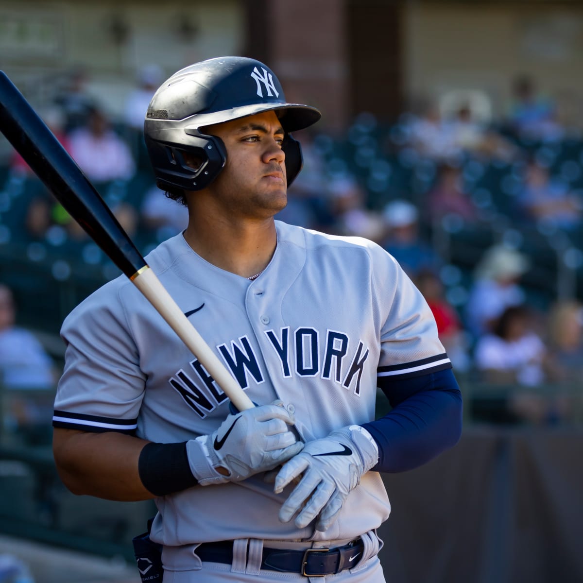 Jasson Dominguez shines in Hudson Valley Renegades debut