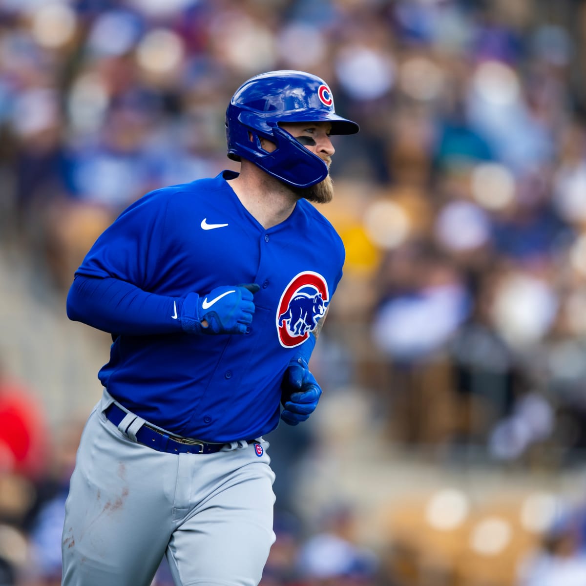 Chicago Cubs Catcher Tucker Barnhart Designated for Assignment - Sports  Illustrated Inside The Cubs