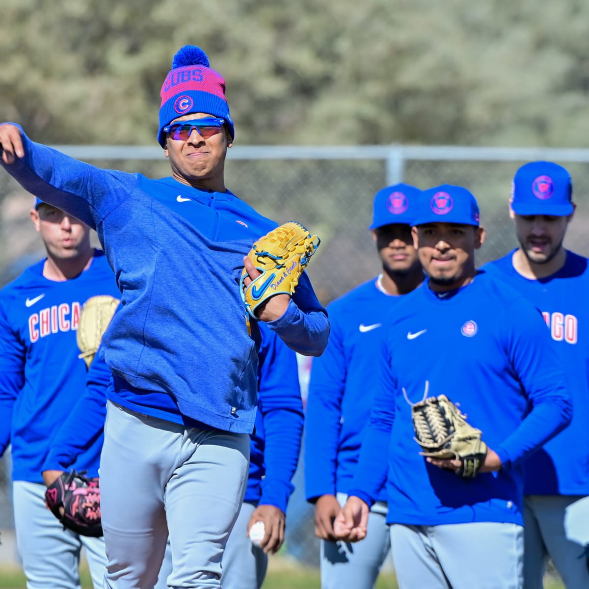 Cubs Minor League System Could Look Very Different Next Season as Minors  Prep for Dramatic Shifts - Cubs Insider