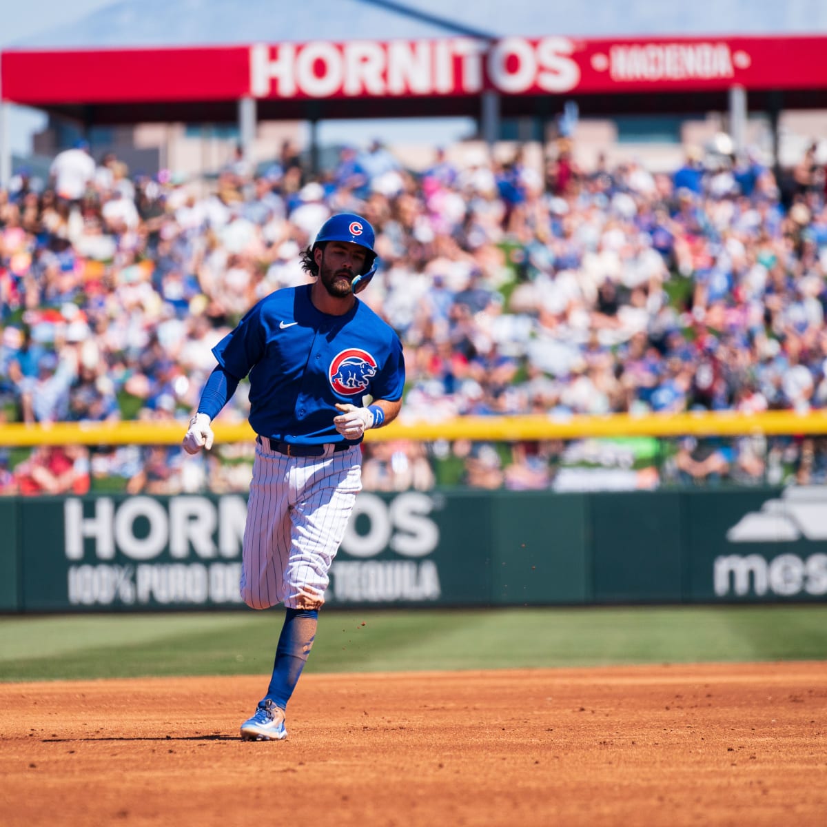 Dansby Swanson is excited for his first Spring Training as a Cub