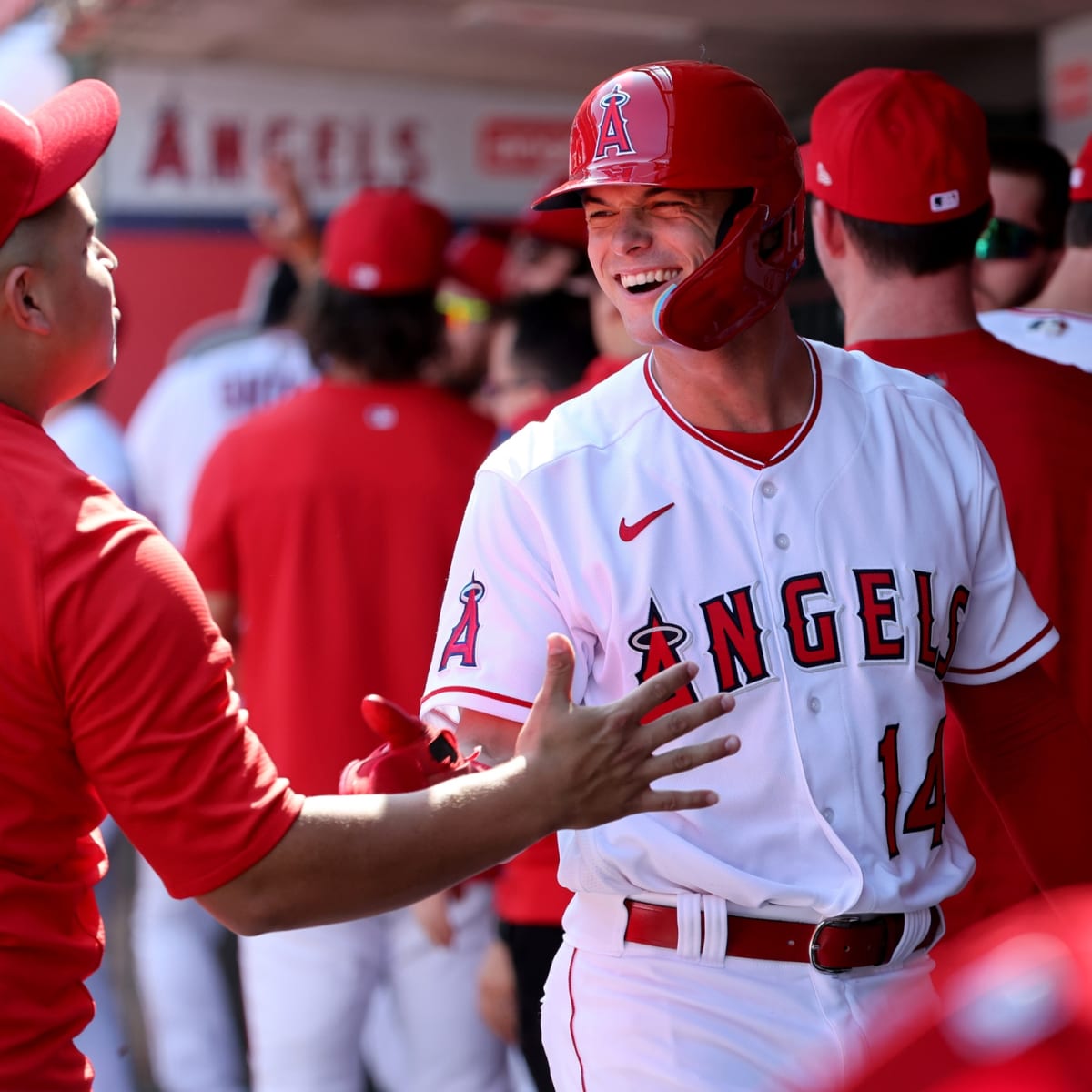 Mike Trout says WBC reminded him why Angels must make playoffs