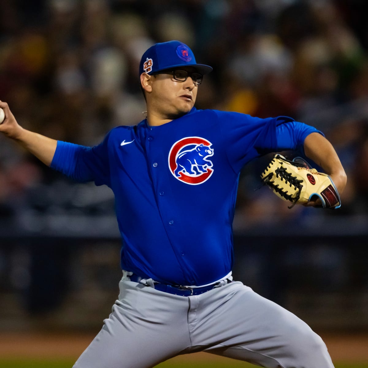 new desultory baseball  Chicago cubs baseball, Cubs baseball, Chicago  sports teams