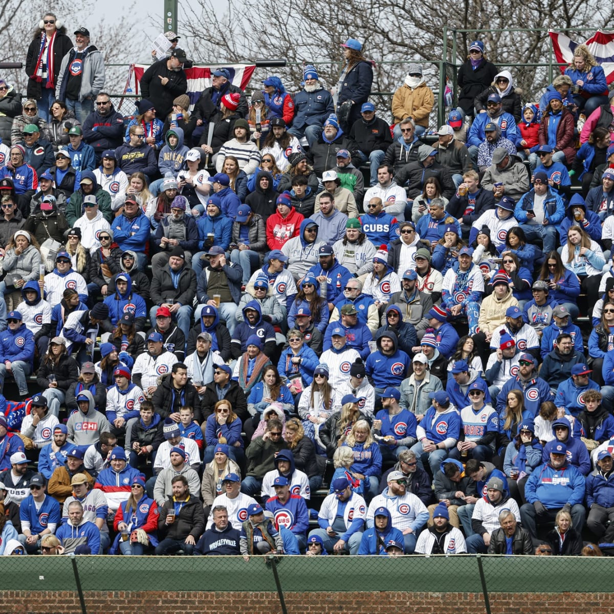 Historic Wrigley Field Delights Chicago Cubs Fans with New Plant-Based  Options