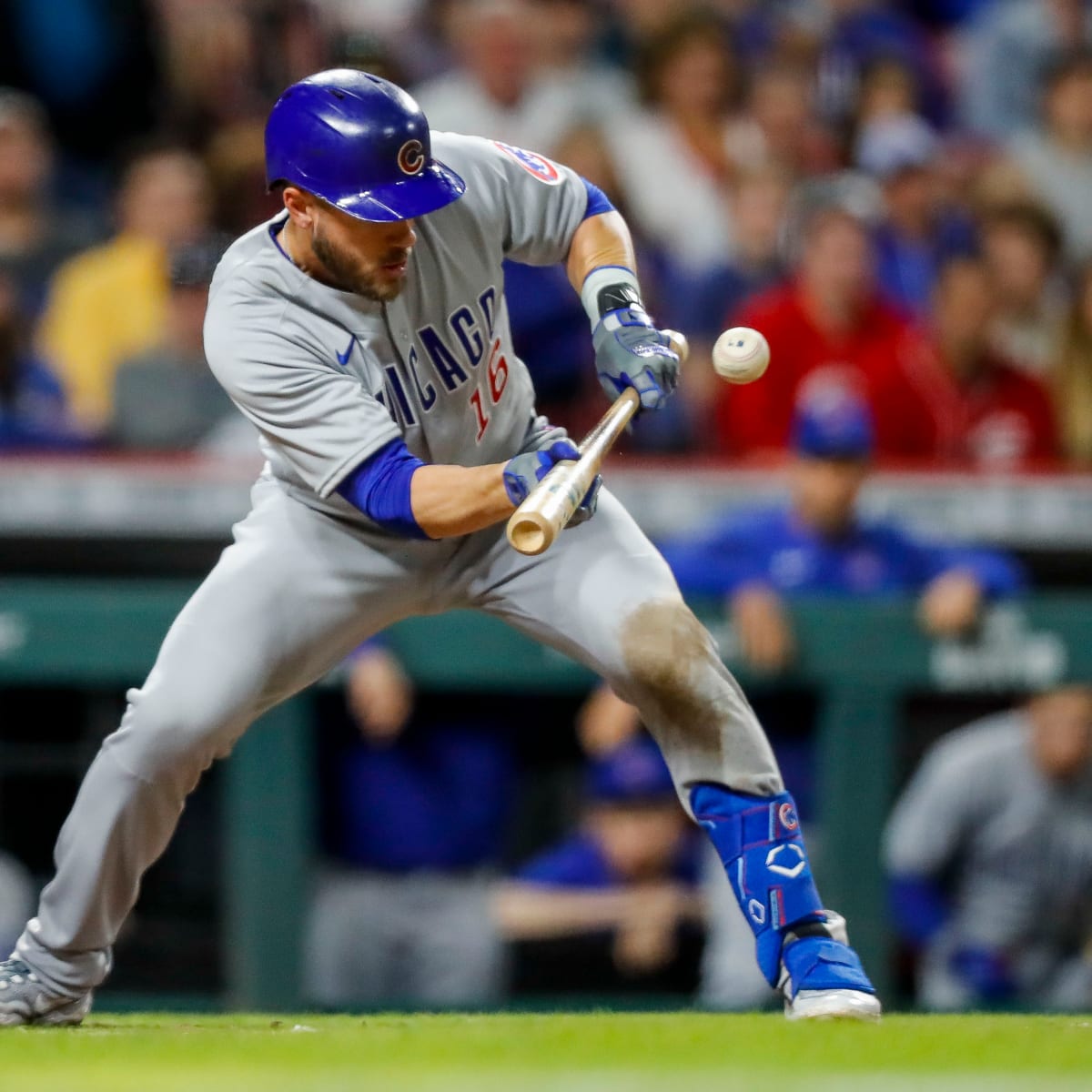 Seiya Suzuki news: Is Cubs OF playing, injured, or resting tonight vs. the  Rockies? - DraftKings Network