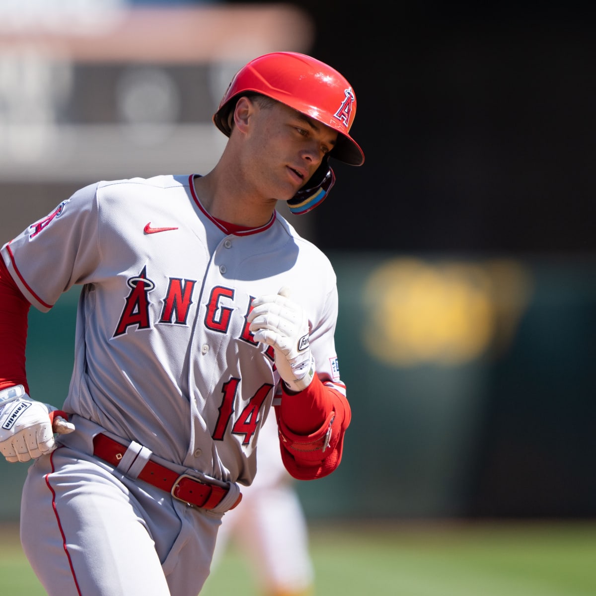 Angels News: Logan O'Hoppe Speaks on Early Success at the Plate - Los  Angeles Angels