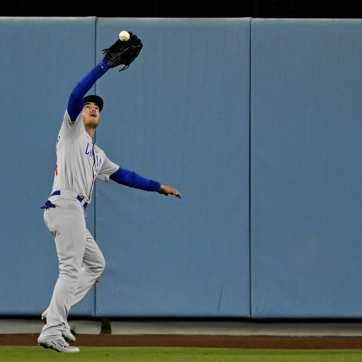 Dodgers: Watch LA Fan Lose It After Catching Cody Bellinger Home Run -  Inside the Dodgers